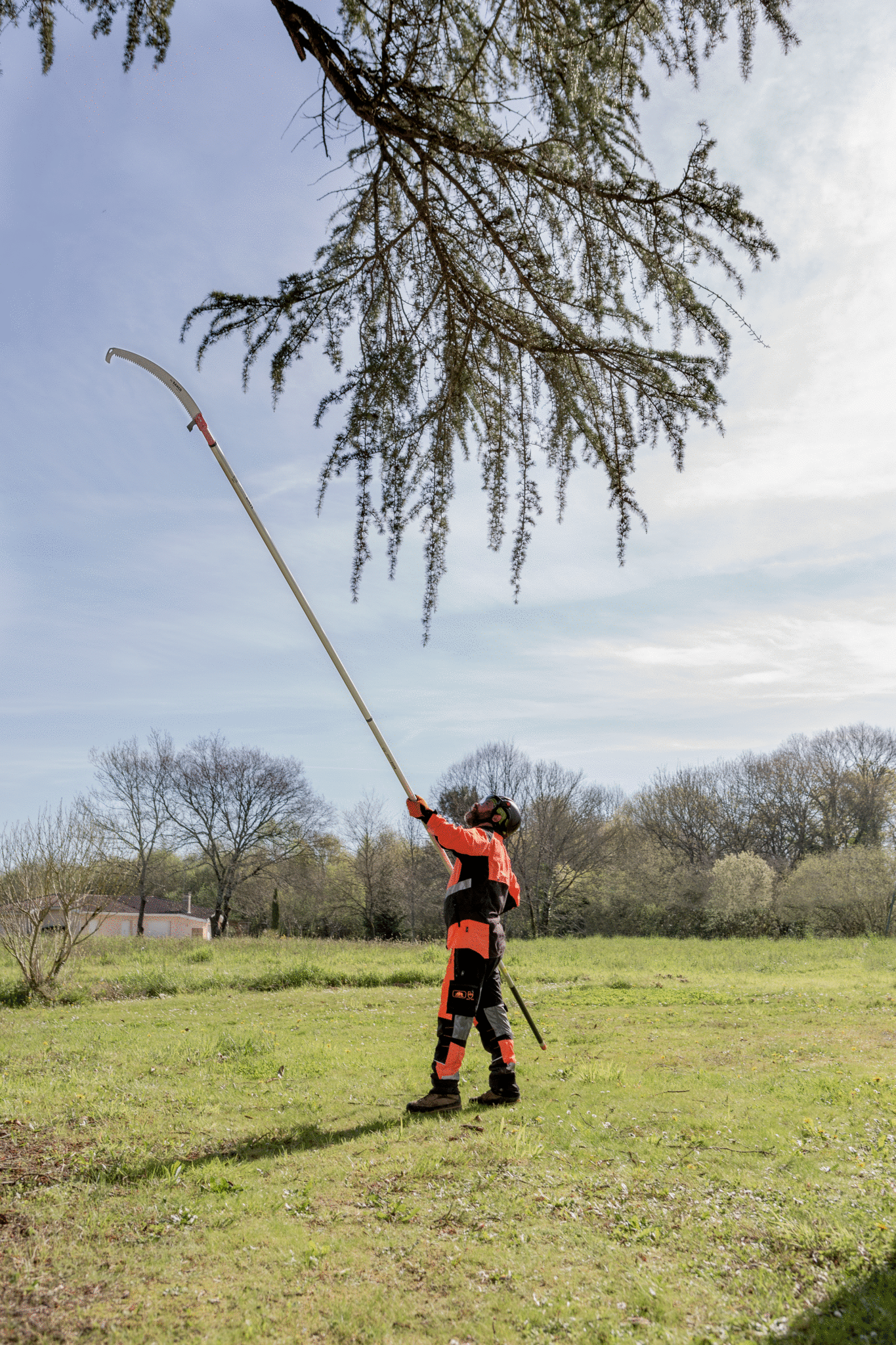 PruningatHeight_APPL26.jpg PruningatHeight_APPL26.jpg