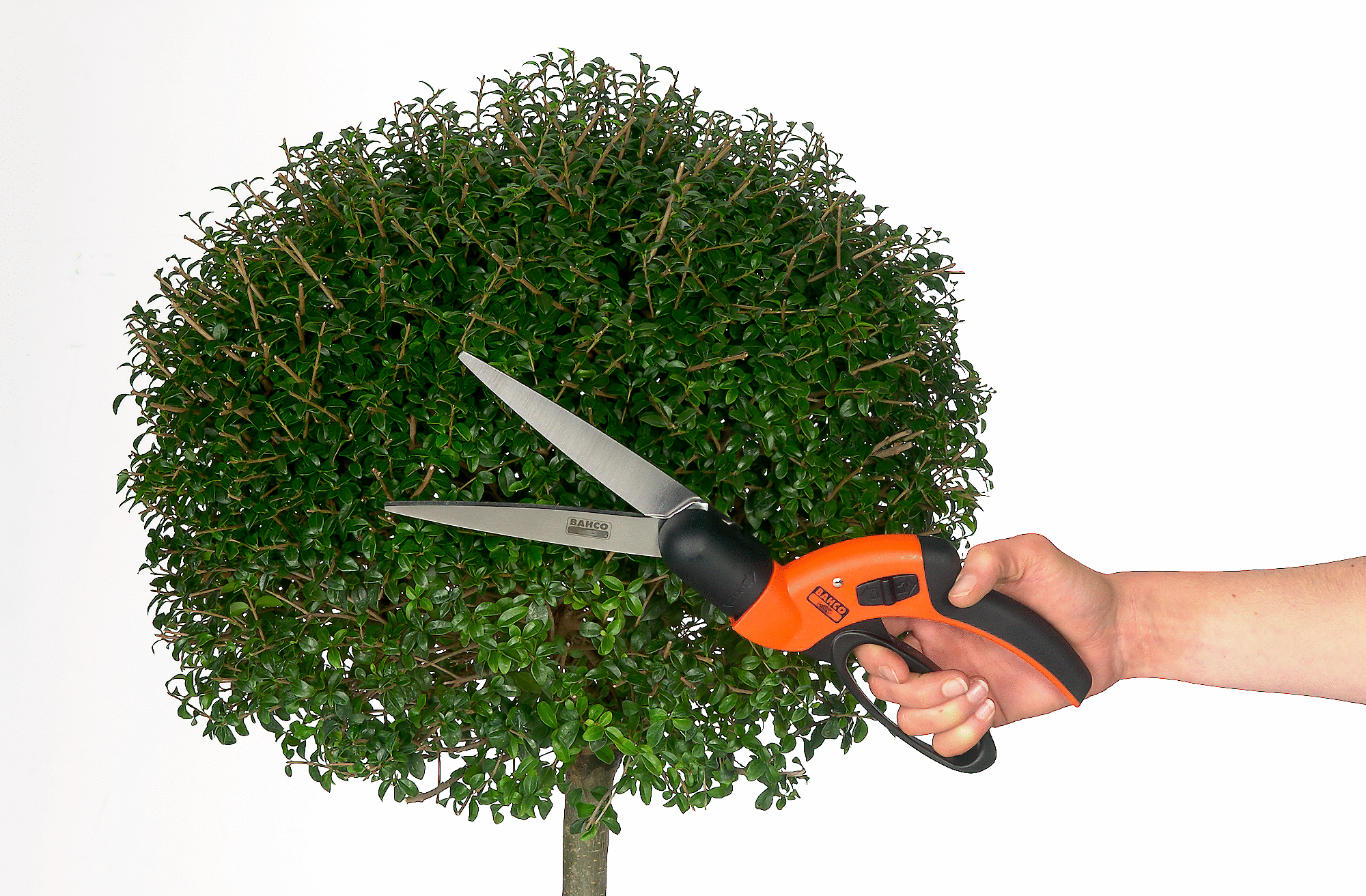 Как заточить садовые ножницы для стрижки травы - 80 фото