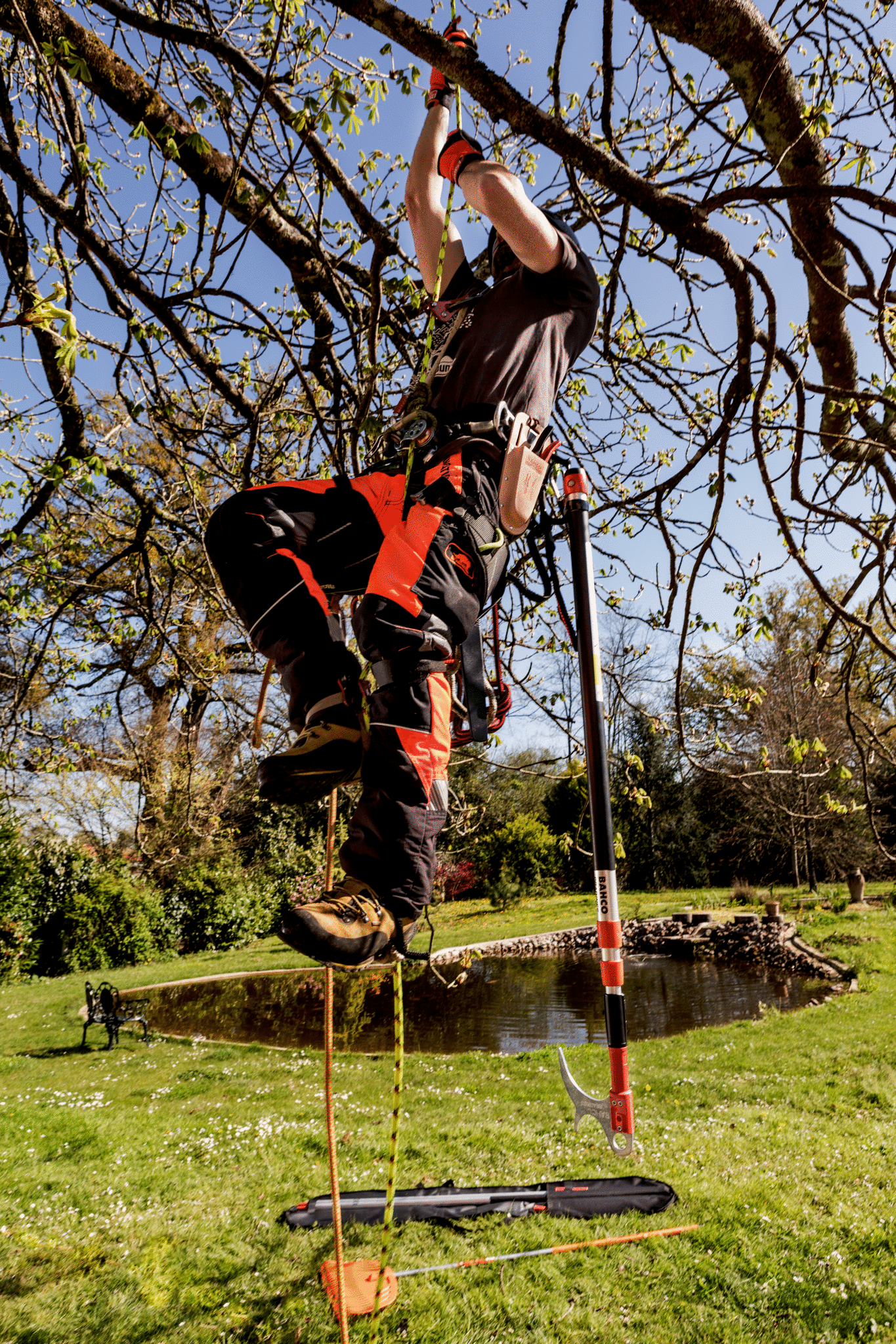 PruningatHeight_APPL02.jpg PruningatHeight_APPL02.jpg