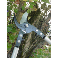 50 mm Professional Bypass Loppers with Aluminium Handle BAHCO