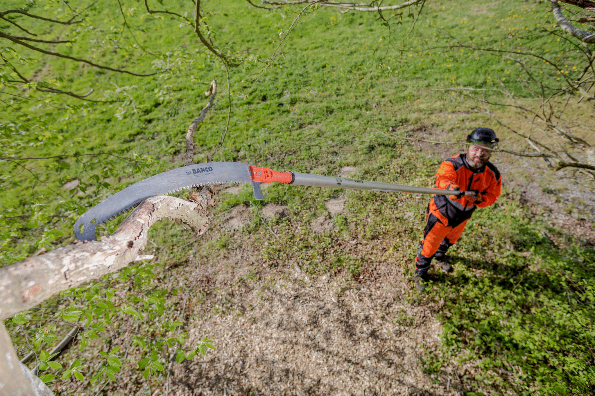 PruningatHeight_APPL23.jpg PruningatHeight_APPL23.jpg