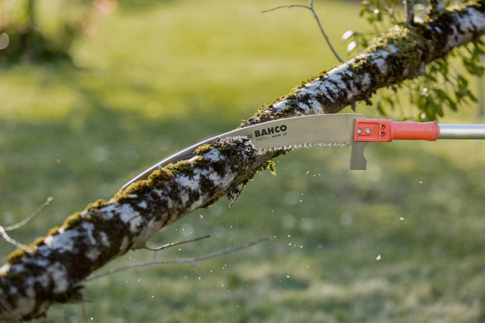 PruningatHeight_APPL17.jpg PruningatHeight_APPL17.jpg