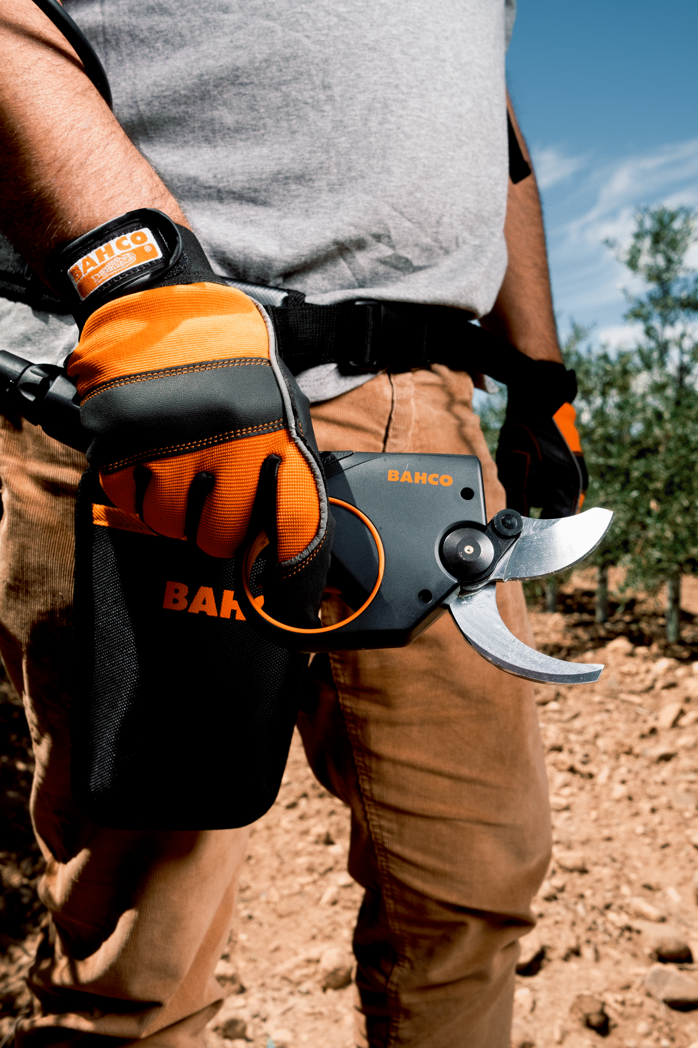 BAHCO-BCL24-appl-07.jpg BAHCO-BCL24-appl-07.jpg