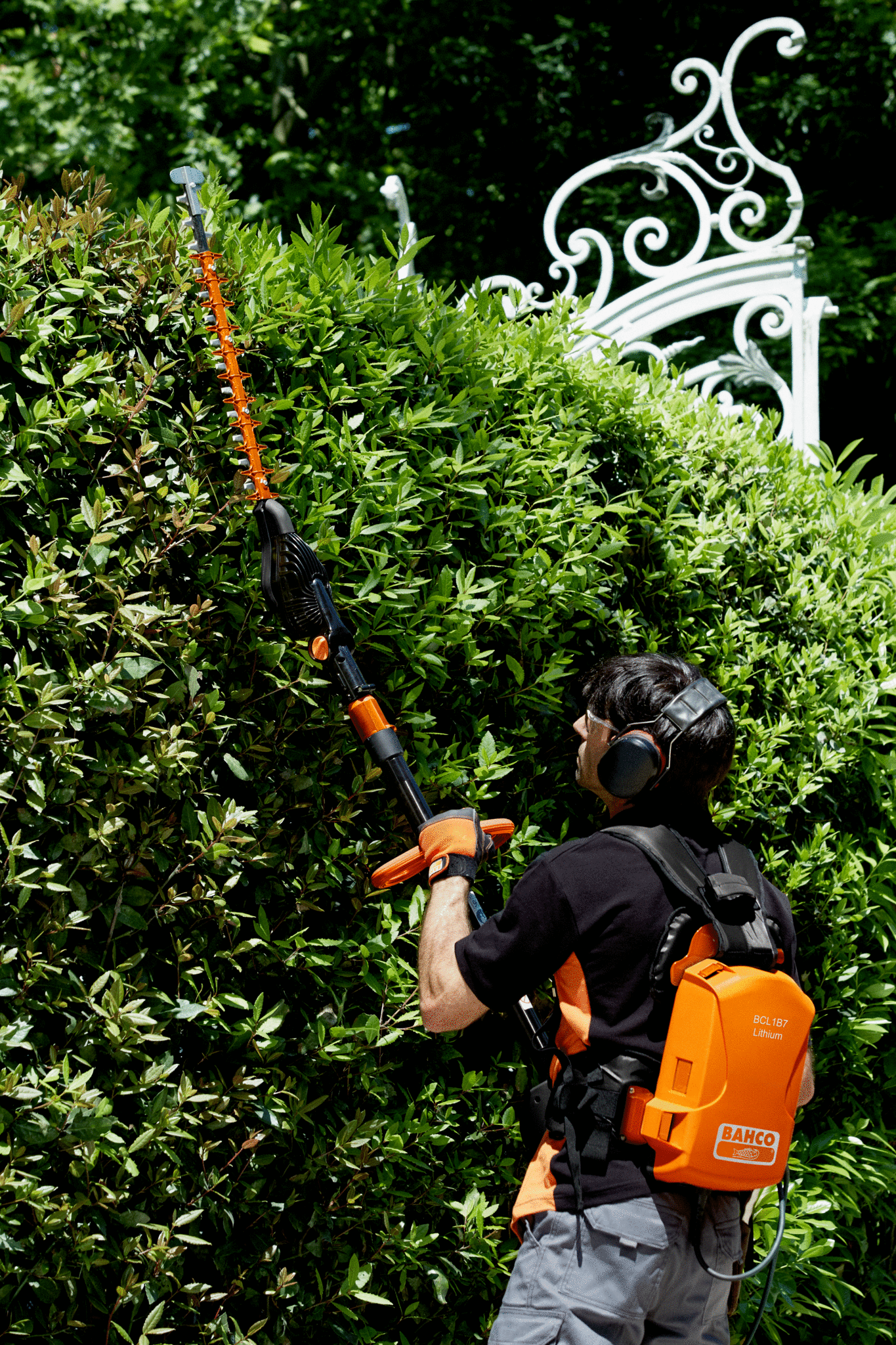 BCL115_appl2.jpg BCL115_appl2.jpg