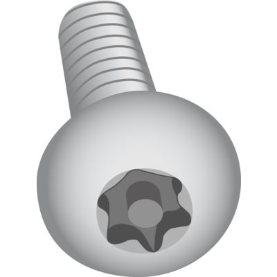 Screwdriver TORX TAMPER TR8X75 圖 4