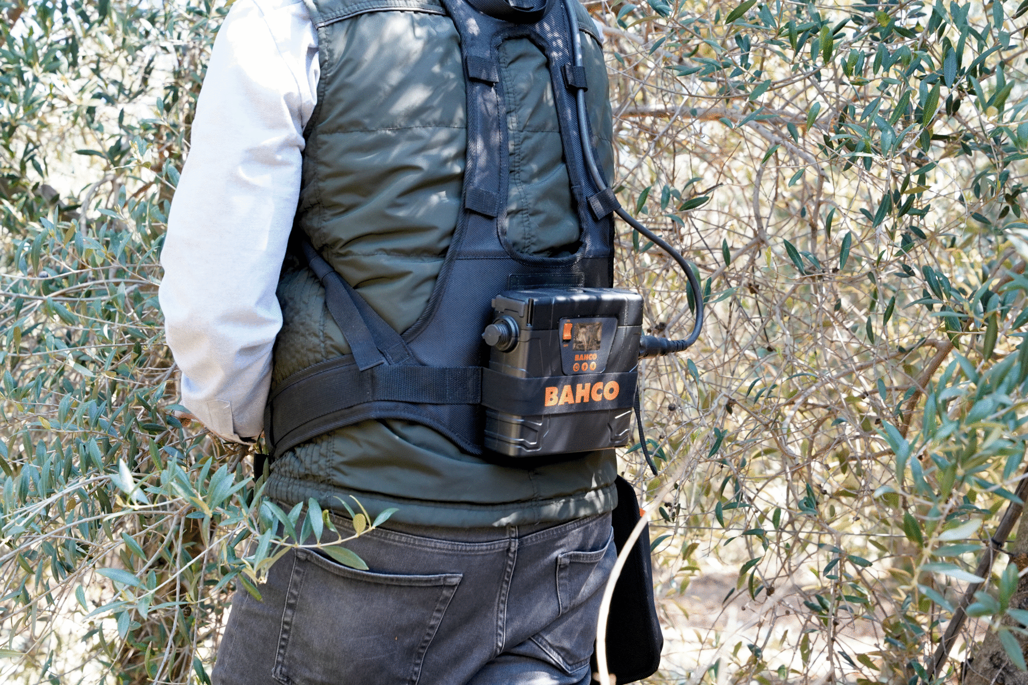 BAHCO-BCL24-appl-21.jpg BAHCO-BCL24-appl-21.jpg